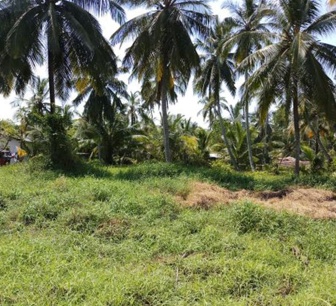 Land-For-Sale-in-Negombo-10048-1