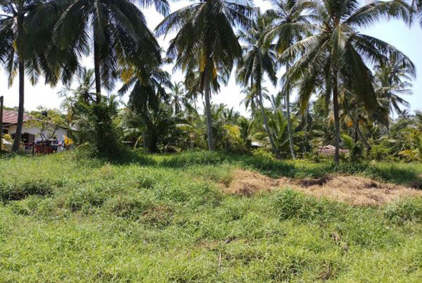 Land-For-Sale-in-Negombo-10048-1