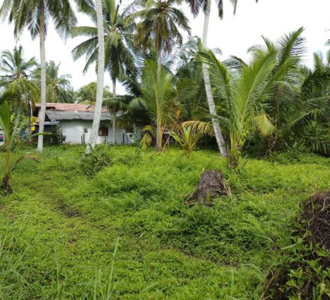 Land-For-Sale-in-Negombo-10048-2