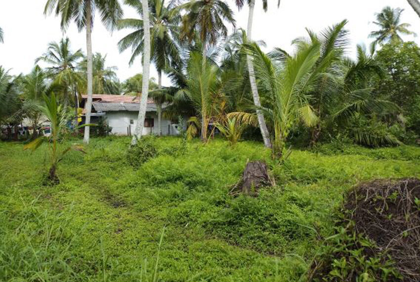 Land-For-Sale-in-Negombo-10048-2