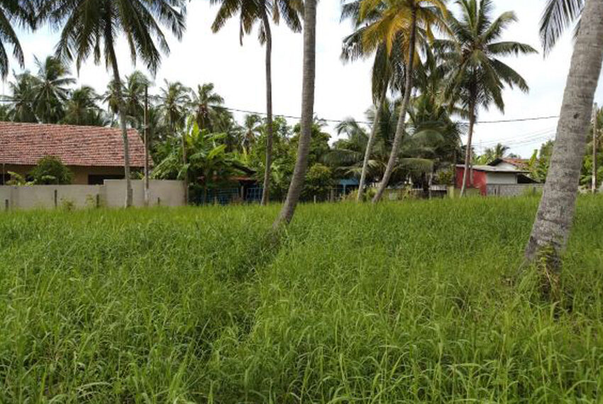 Land-For-Sale-in-Negombo-10048-3