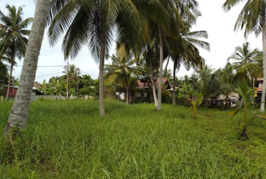 Land-For-Sale-in-Negombo-10048-4