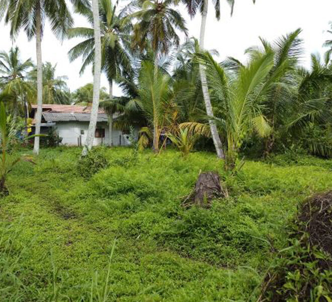 Land-For-Sale-in-Negombo-10048