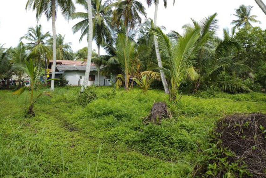 Land-For-Sale-in-Negombo-10048