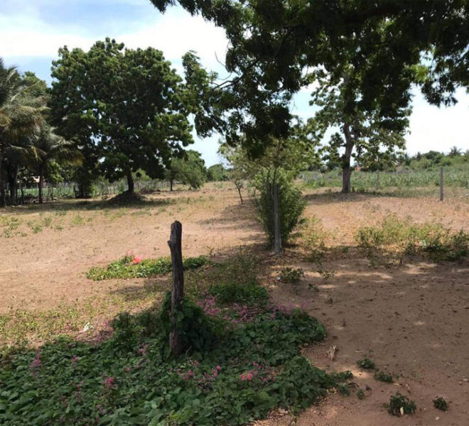 Land-For-Sale-in-Trincomalee-10100-01