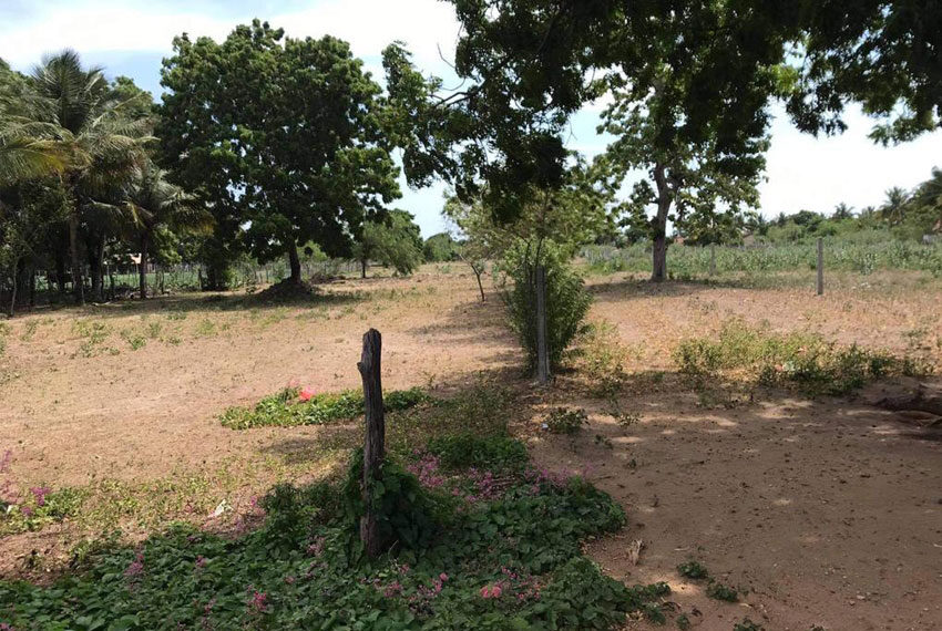 Land-For-Sale-in-Trincomalee-10100-01