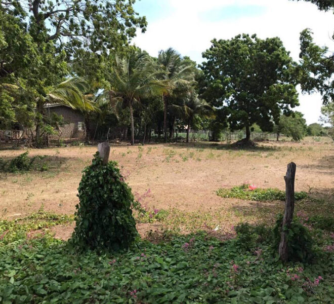 Land-For-Sale-in-Trincomalee-10100-02