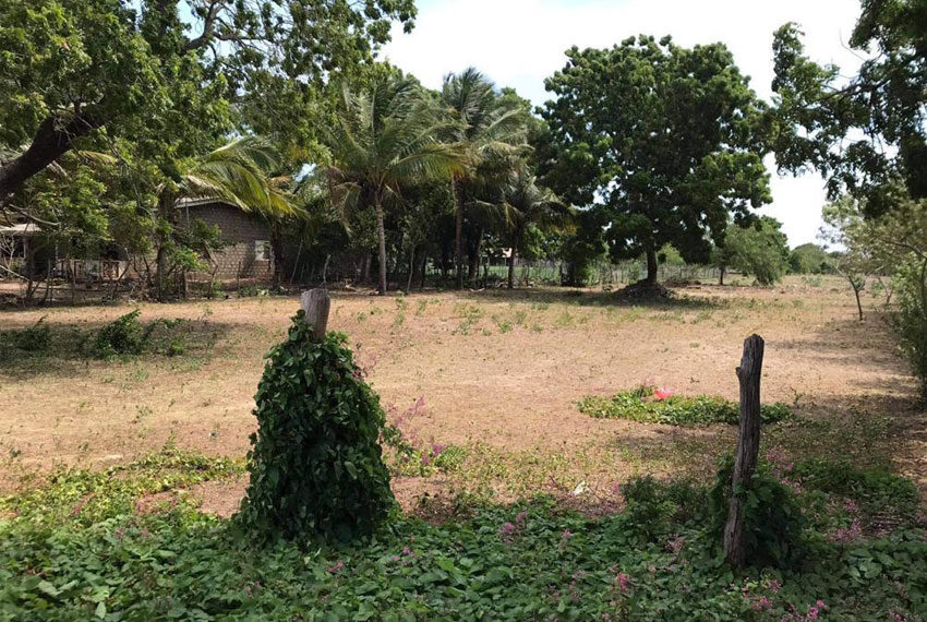 Land-For-Sale-in-Trincomalee-10100-02