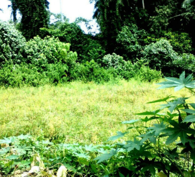 Land-for-sale-in-Athurugiriya-10162-01