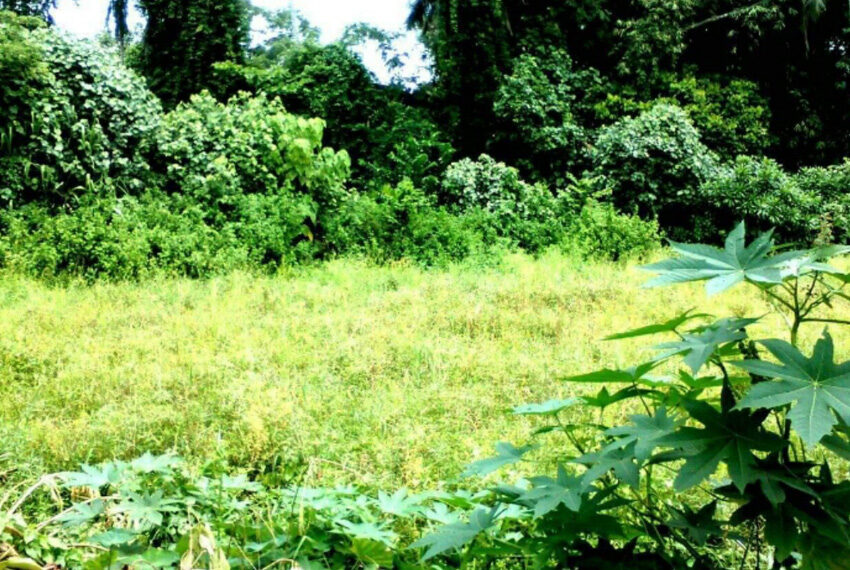 Land-for-sale-in-Athurugiriya-10162-01