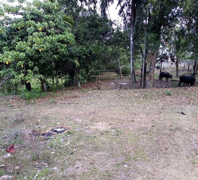 land-for-sale-in-meegoda-10149-02