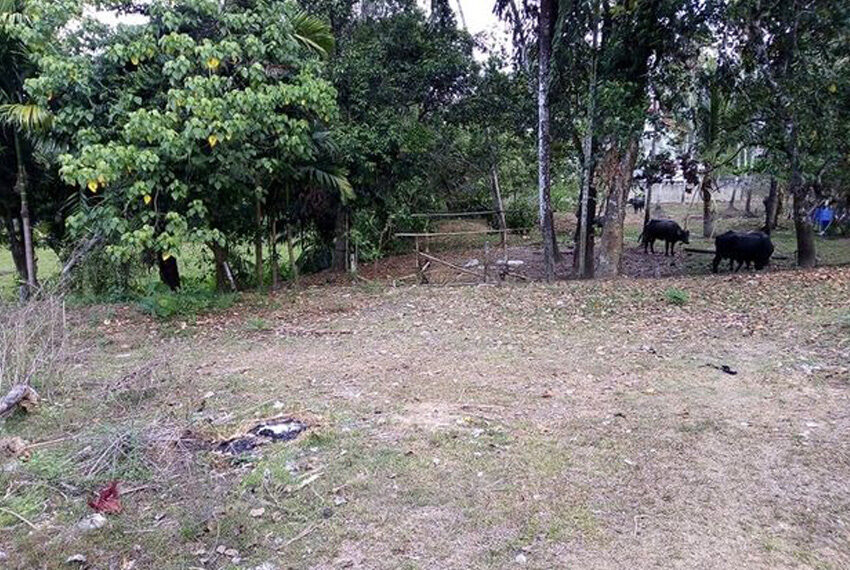 land-for-sale-in-meegoda-10149-02