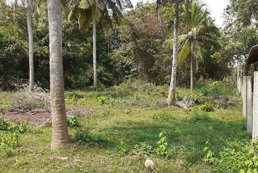 Land-for-sale-in-tangalla-10203-01