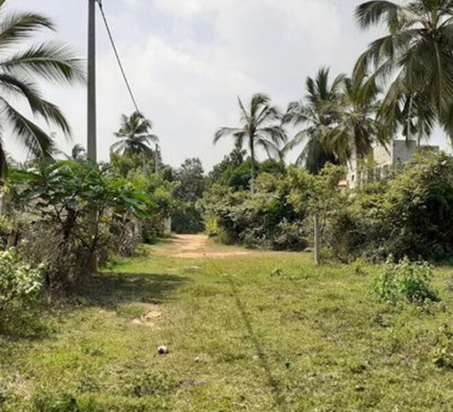 Land-for-sale-in-tangalla-10203-02