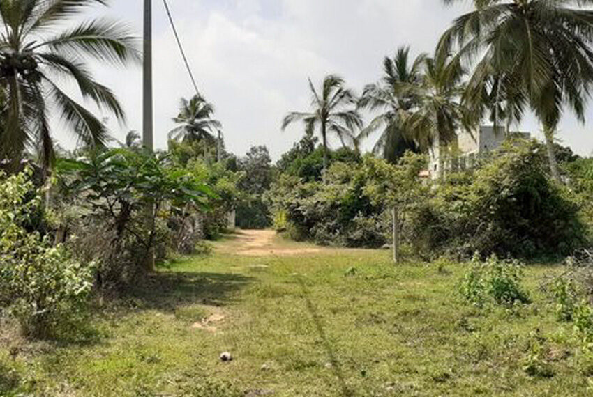 Land-for-sale-in-tangalla-10203-02