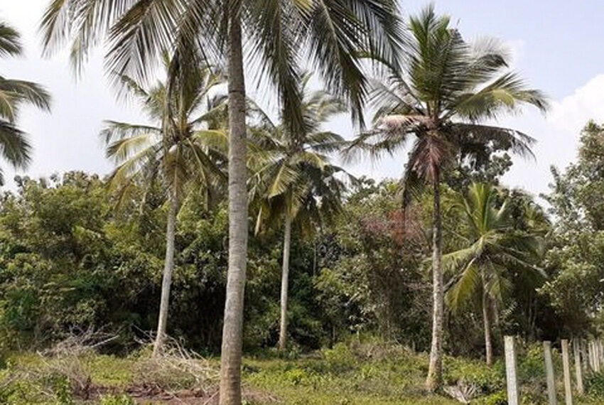 Land-for-sale-in-tangalla-10203-03