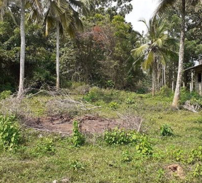 Land-for-sale-in-tangalla-10203-04