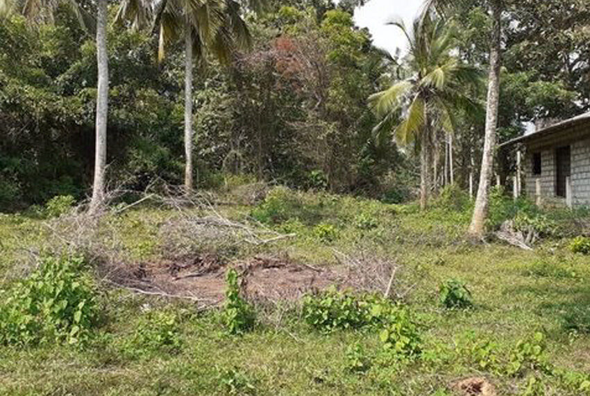 Land-for-sale-in-tangalla-10203-04