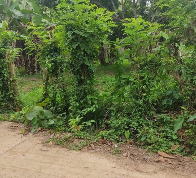 Land-for-sale-Kaduwela-10229-02