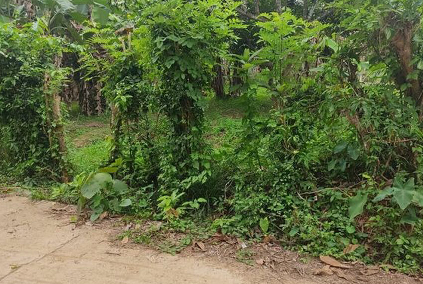 Land-for-sale-Kaduwela-10229-02