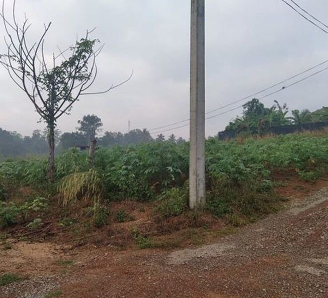 Land-for-sale-in-Gampaha-10208-01