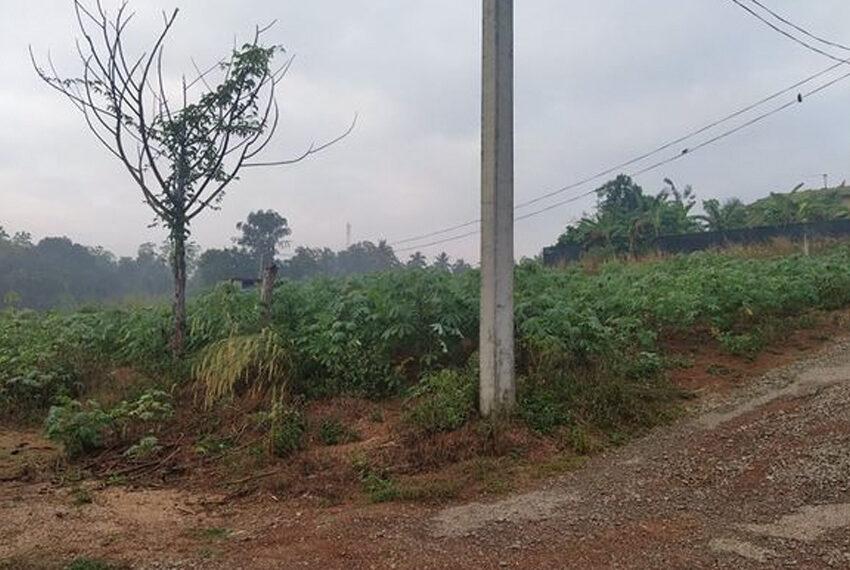 Land-for-sale-in-Gampaha-10208-01