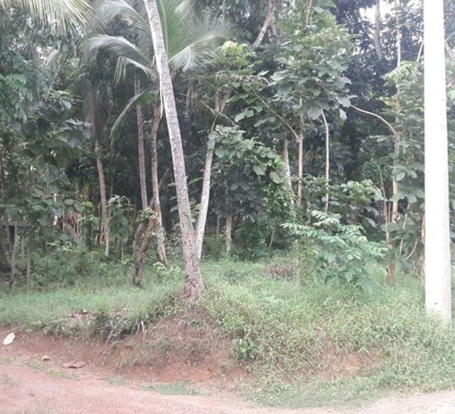 Land-for-sale-in-Kadawatha-10212-01