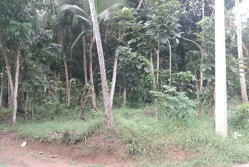 Land-for-sale-in-Kadawatha-10212-01