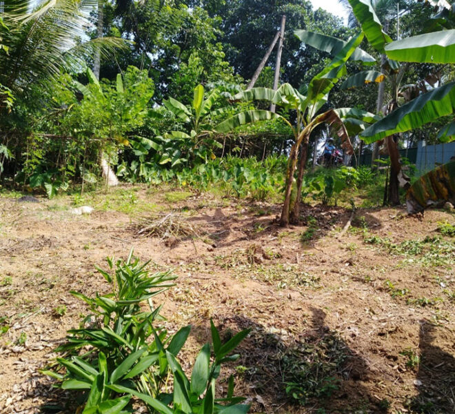 Land-for-sale-in-pugoda-10253-01