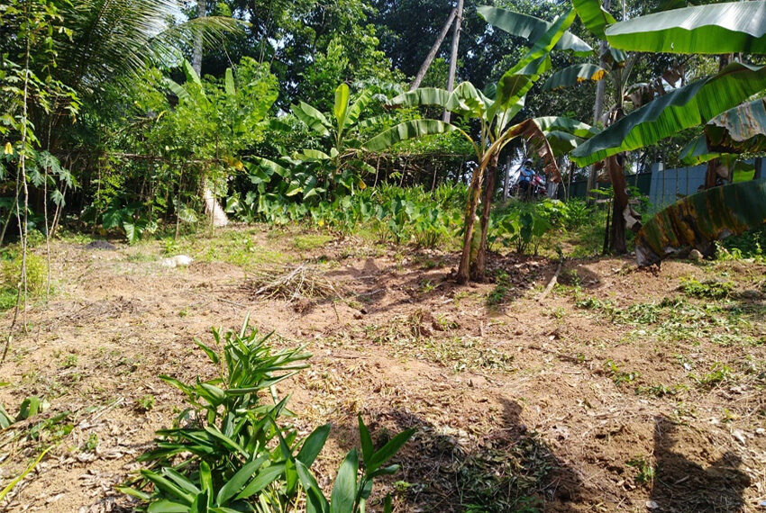 Land-for-sale-in-pugoda-10253-01