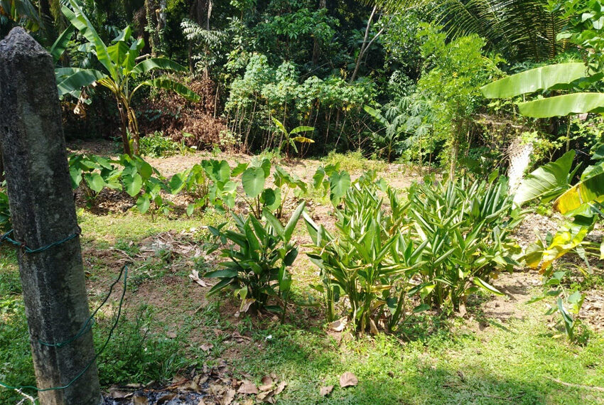 Land-for-sale-in-pugoda-10253-02