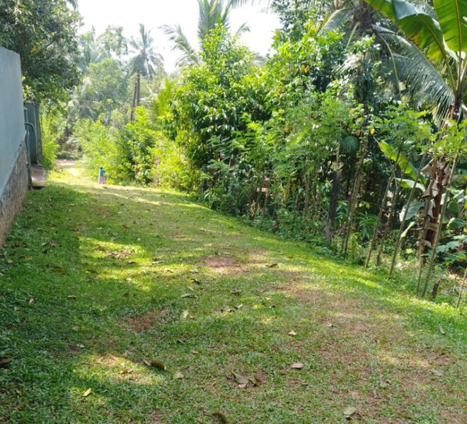 Land-for-sale-in-pugoda-10253-03