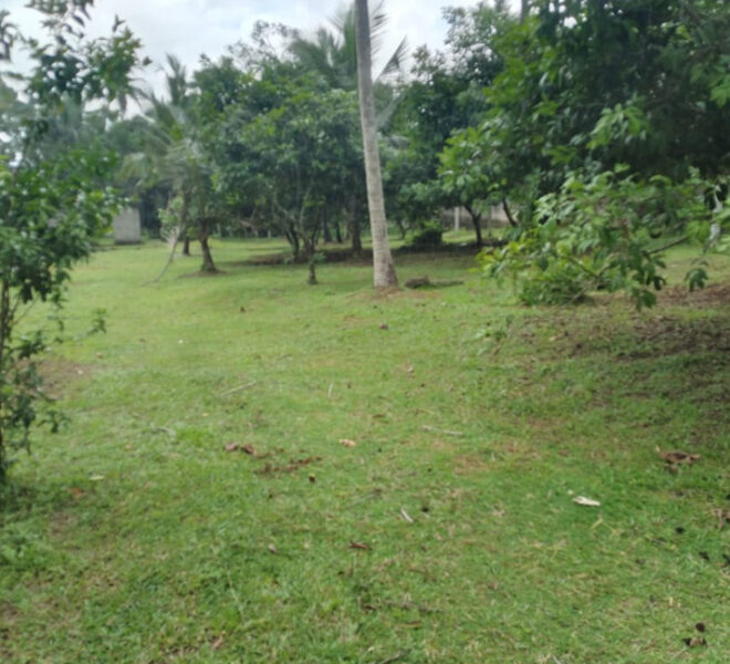 Land-for-sale-in-Kalagedihena-10277-02