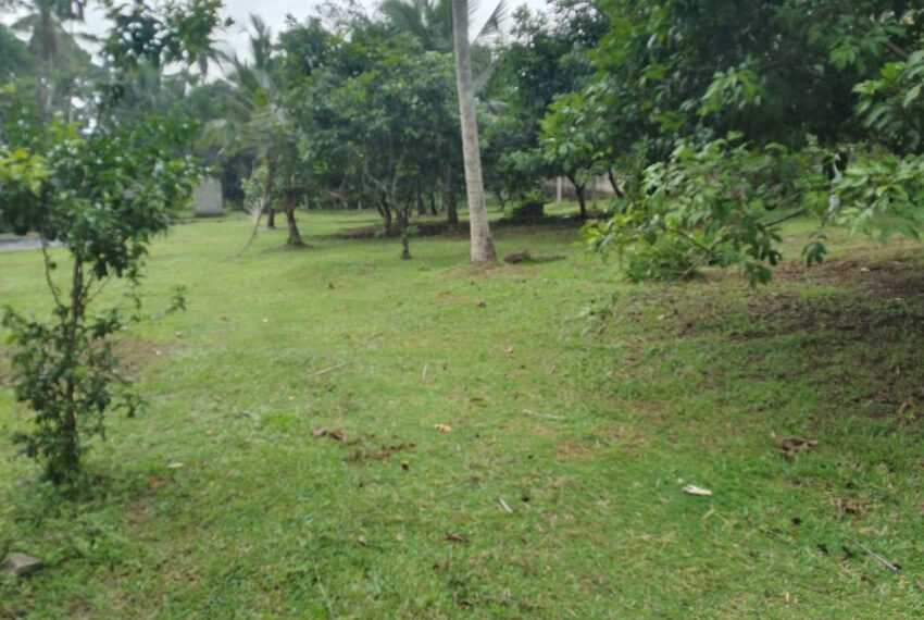 Land-for-sale-in-Kalagedihena-10277-02