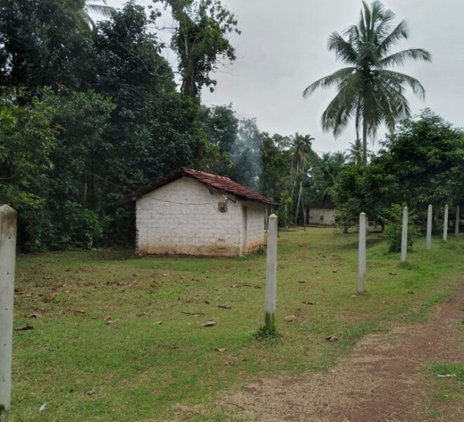 Land-for-sale-in-Kalagedihena-10277-05