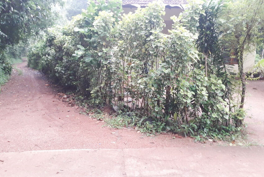 Land-with-House-for-Sale-in-Divulapitiya-10271-01