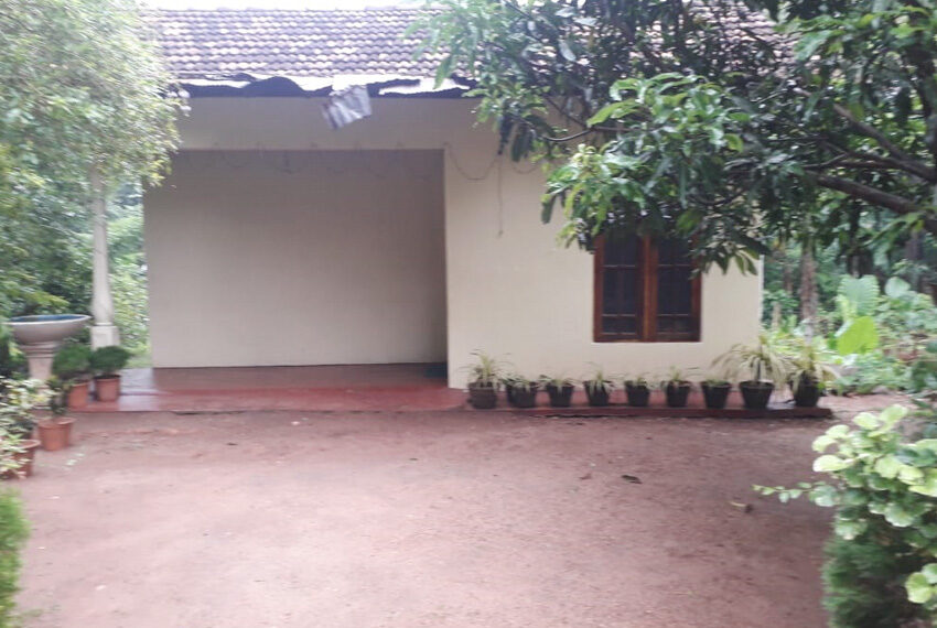 Land-with-House-for-Sale-in-Divulapitiya-10271-04