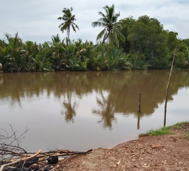 Land-for-sale-in-Wennappuwa-10304-01