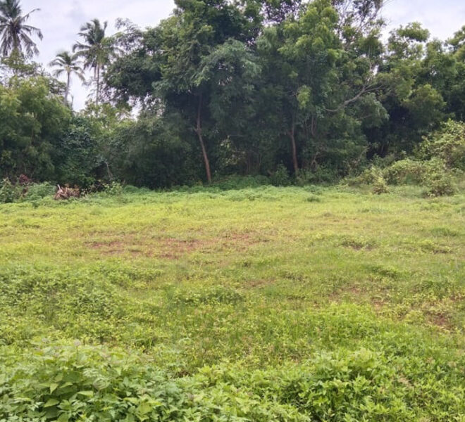 Land-for-sale-in-Wennappuwa-10304-02