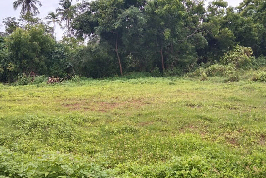 Land-for-sale-in-Wennappuwa-10304-02