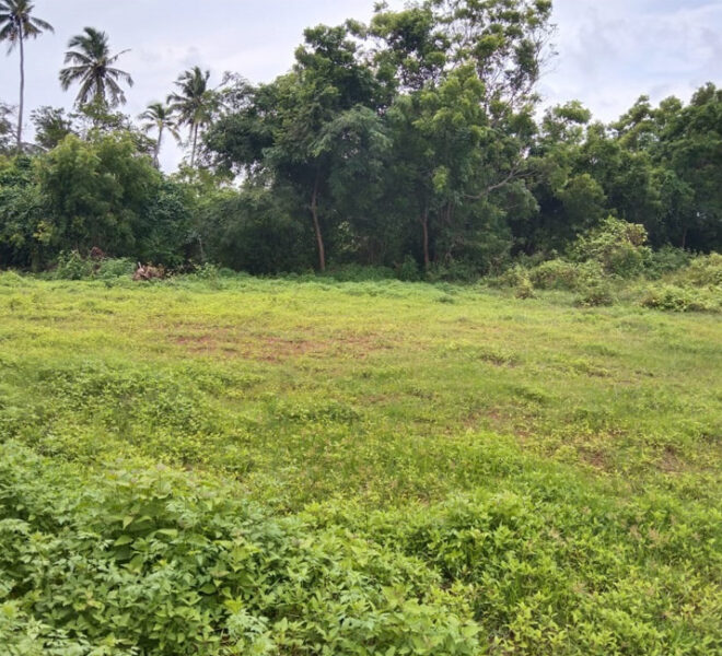 Land-for-sale-in-Wennappuwa-10304-03