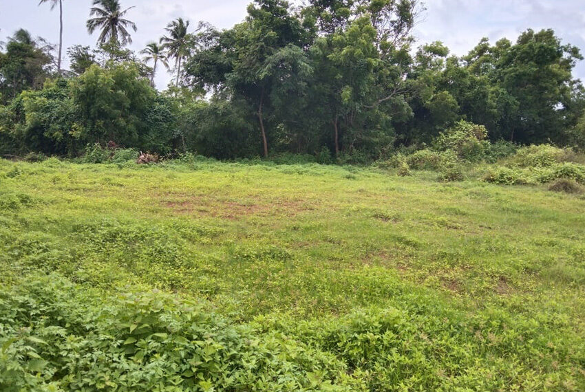 Land-for-sale-in-Wennappuwa-10304-03