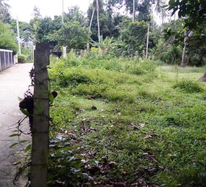 Land-for-sale-in-minuwangoda-10311-01