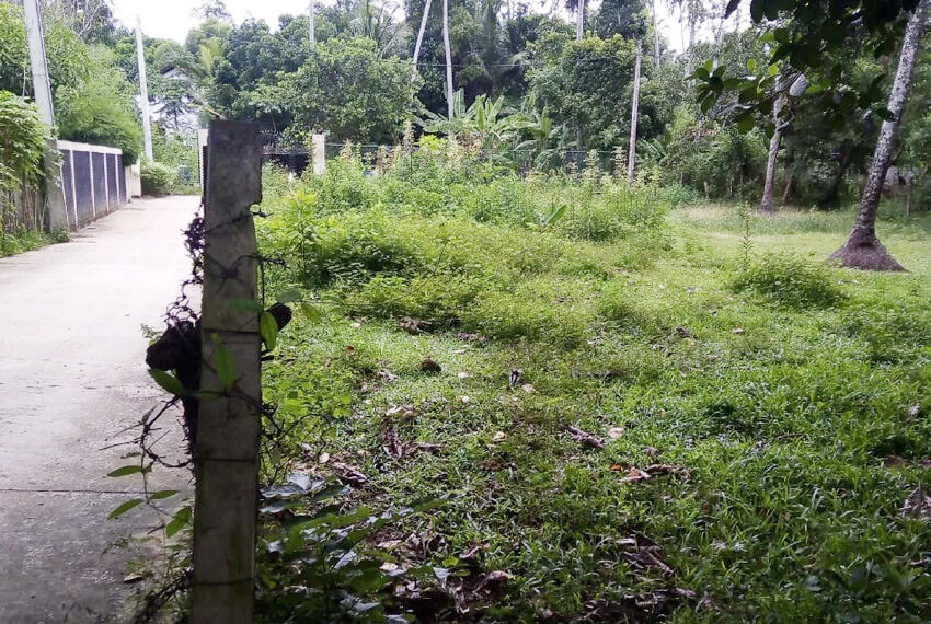 Land-for-sale-in-minuwangoda-10311-01