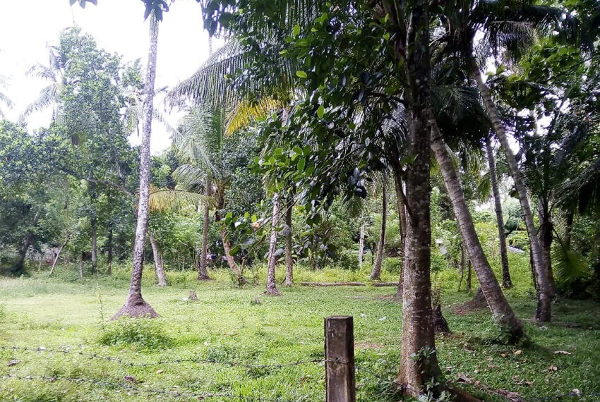 Land-for-sale-in-minuwangoda-10311-021