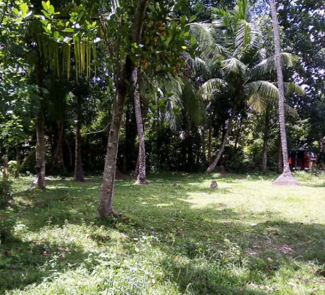 Land-for-sale-in-minuwangoda-10311-03