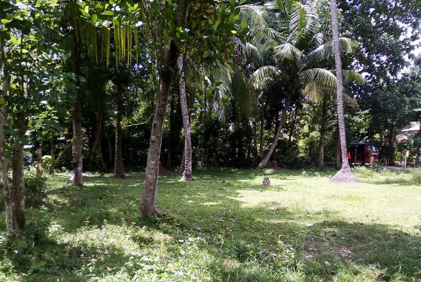 Land-for-sale-in-minuwangoda-10311-03