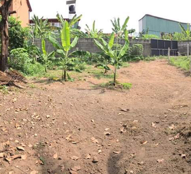 House-with-land-for-sale-in-Kotte-10347-03