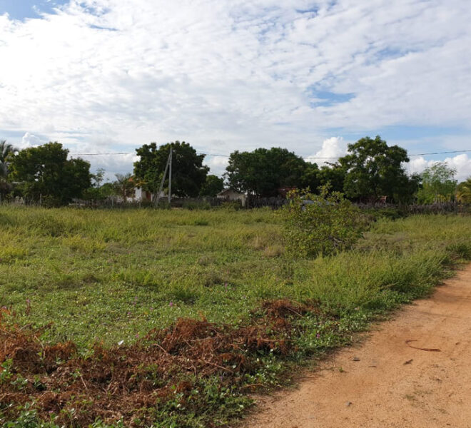 Land--sale-for-02-10541-arugam-bay