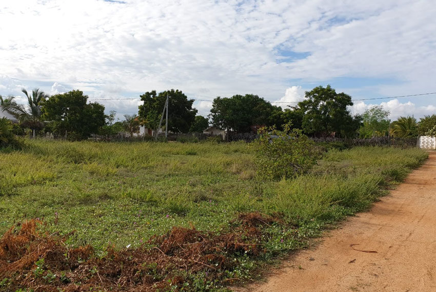 Land--sale-for-02-10541-arugam-bay